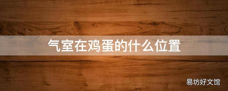 气室在鸡蛋的什么位置