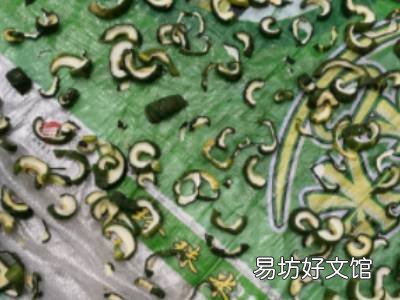 黄瓜干怎样晒