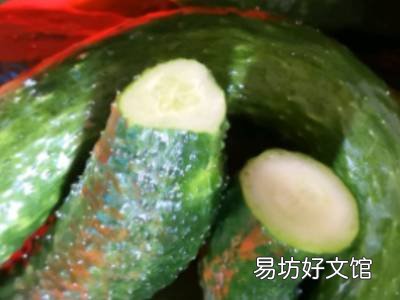 黄瓜干怎样晒