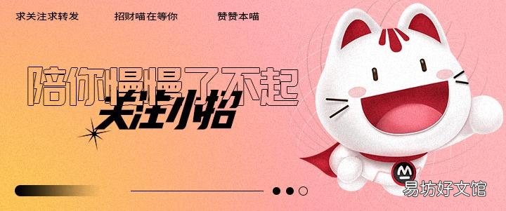 SWIFT 什么是旅行支票