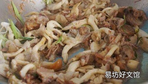 黄金菇怎么做好吃