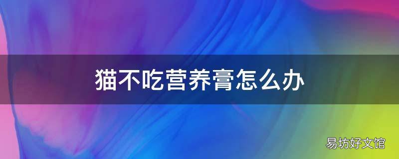 猫不吃营养膏怎么办