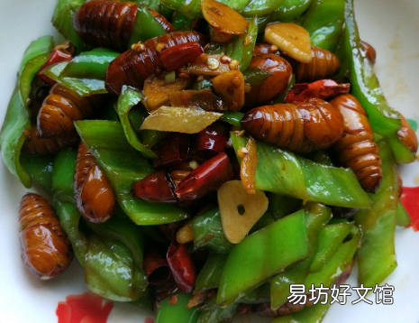 金丝蛹怎么做好吃