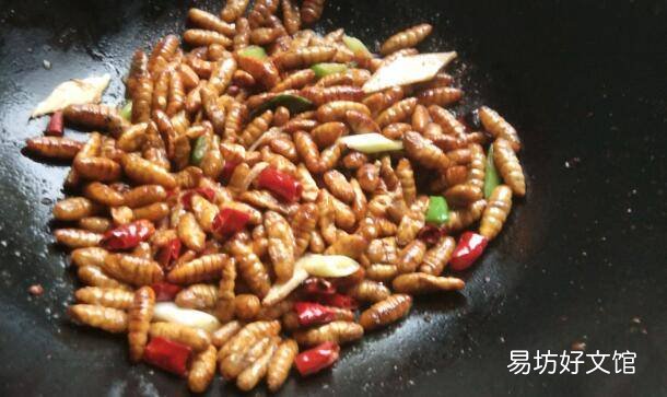 金丝蛹怎么做好吃