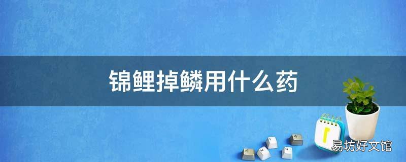 锦鲤掉鳞用什么药