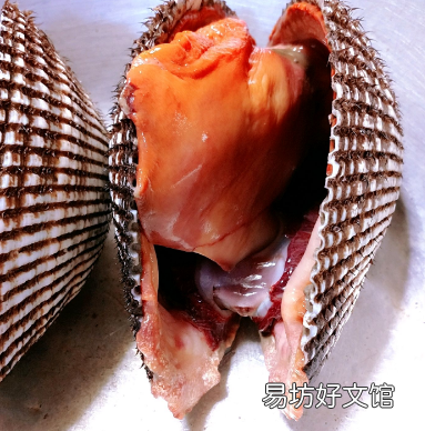 赤贝肉怎么做好吃