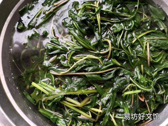 婆婆丁怎么做好吃