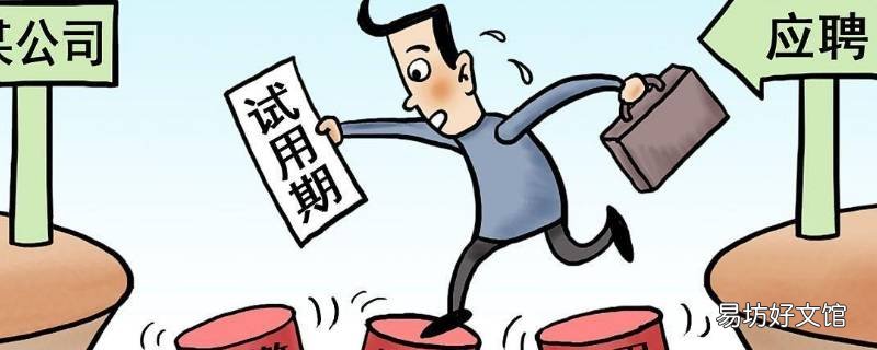 劳动合同试用期规定内容是什么