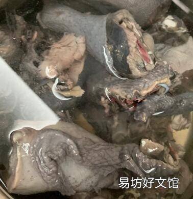 参汤的做法