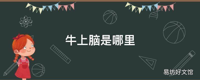 牛上脑是哪里