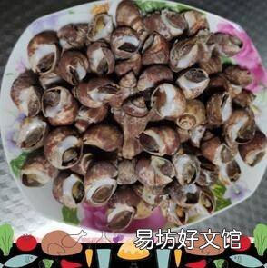 家庭盐焗花螺怎么做