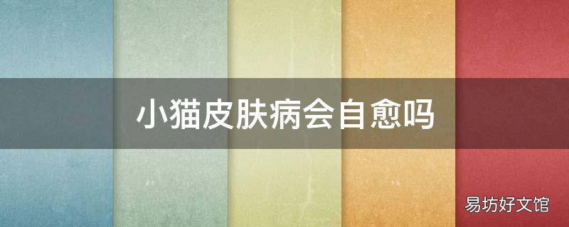 小貓皮膚病會自愈嗎