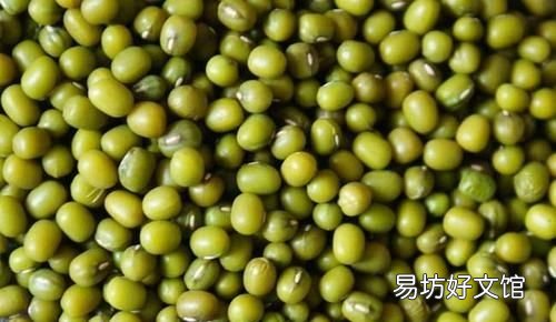 学生在家种绿豆的方法 学生在家怎么种绿豆