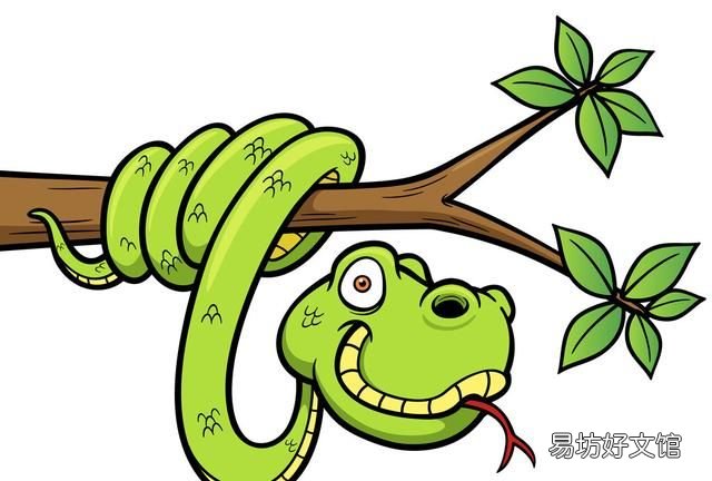 属蛇的女人出轨是什么样的 属蛇人到底是什么样的人