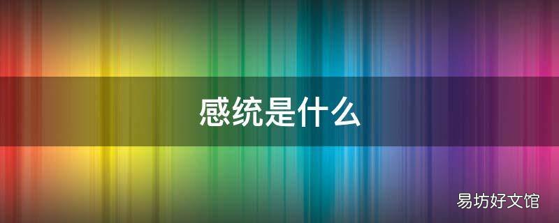 感统是什么