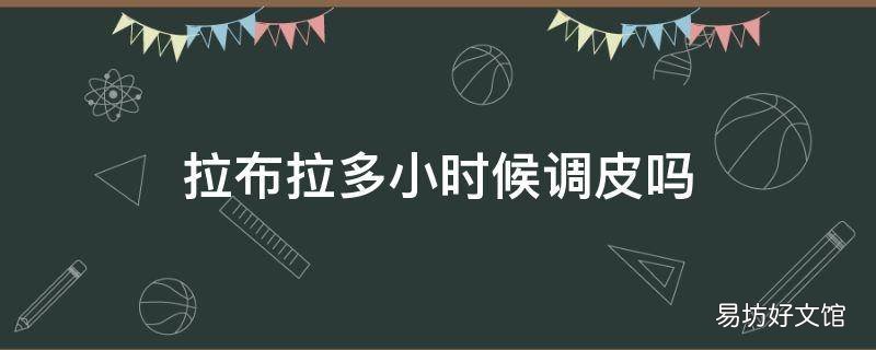 拉布拉多小时候调皮吗