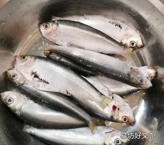 小鱼怎么做好吃又简单家常的