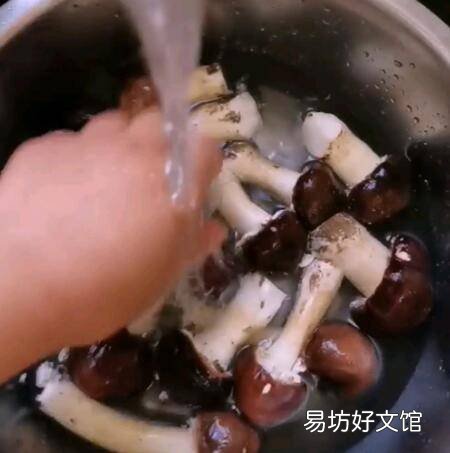 松菇的做法