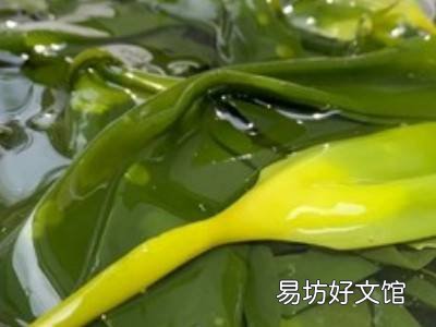 海带苗怎么凉拌才好吃