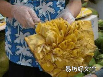 树菠萝怎么开不粘手