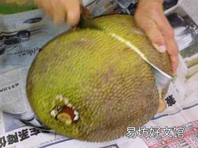 树菠萝怎么开不粘手