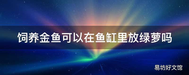 饲养金鱼可以在鱼缸里放绿萝吗