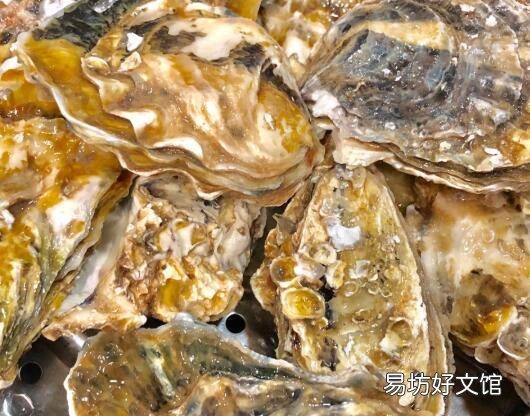 牡蛎怎么吃怎么做