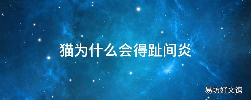 猫为什么会得趾间炎