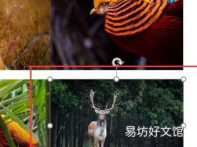 word大量图片排版布局