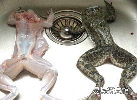 牛蛙怎么炒不腥气