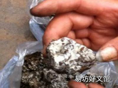 干巴菌怎么清洗干净