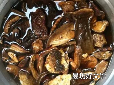 干巴菌怎么清洗干净