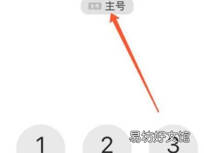 苹果12双卡打电话怎么切换