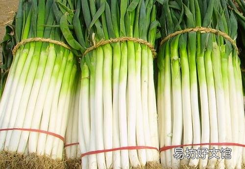 哪些食物有壮阳的功效?3款养生菜堪比壮阳药