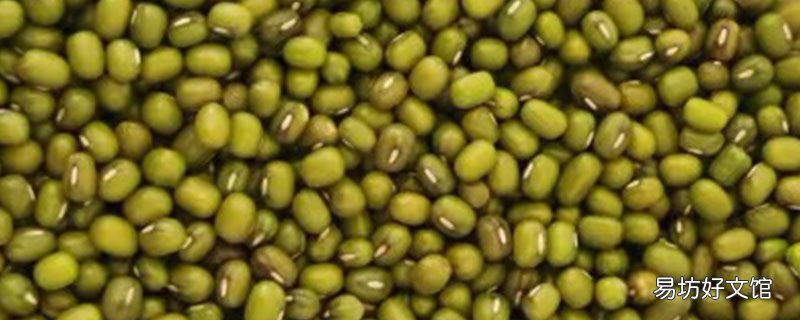 绿豆可以泡一晚上吗