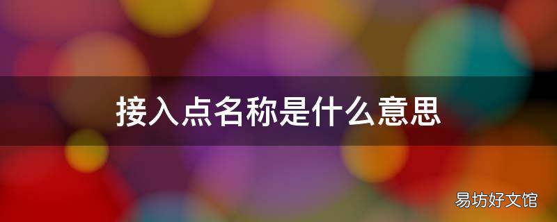 接入点名称是什么意思
