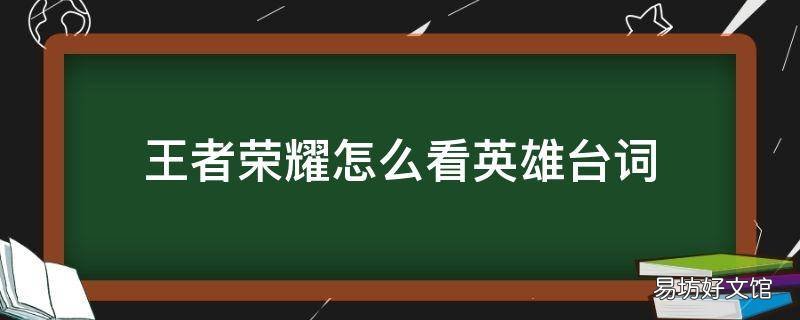 王者荣耀怎么看英雄台词