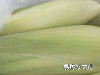 玉米须怎么晒干保存