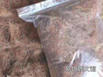 玉米须怎么晒干保存