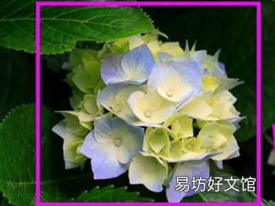 word中图片画圈标注