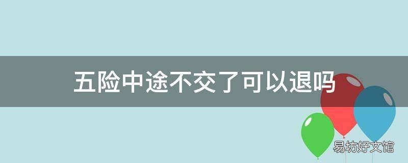 五险中途不交了可以退吗