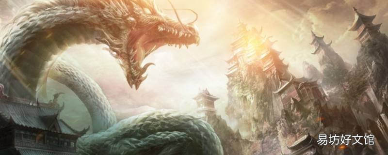IP大作是什么意思