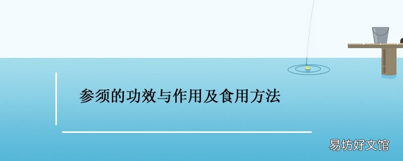 参须的功效与作用及食用方法