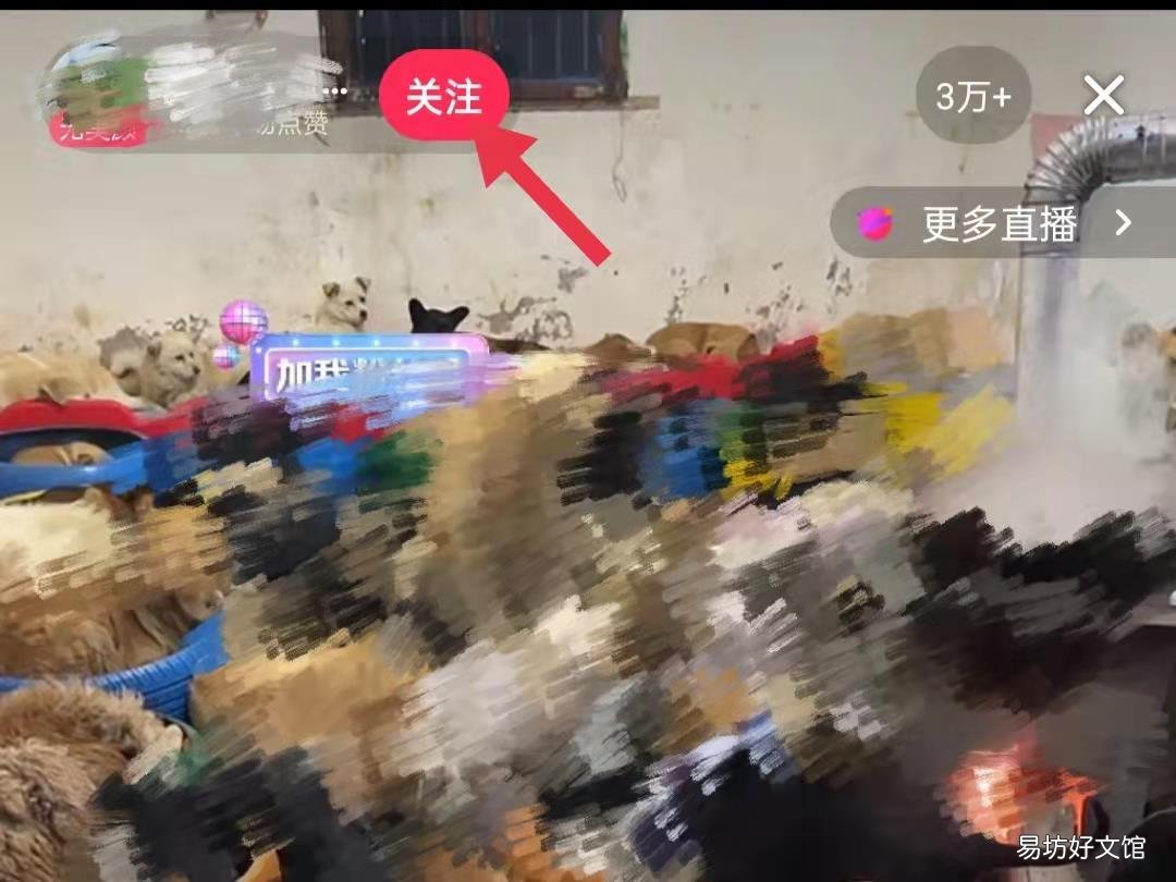 抖音怎么升级粉丝等级