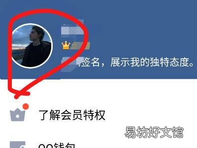 qq更新头像自动发动态怎么关掉