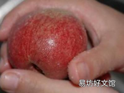 桃子怎么去毛