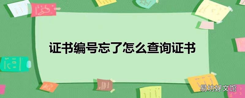 证书编号忘了怎么查询证书
