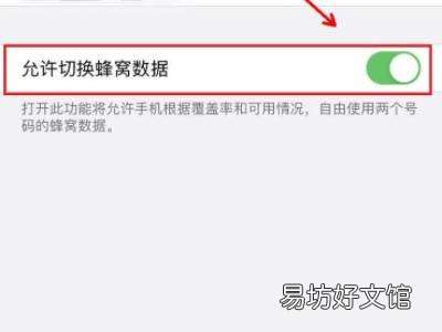 苹果双卡蜂窝切换捷径