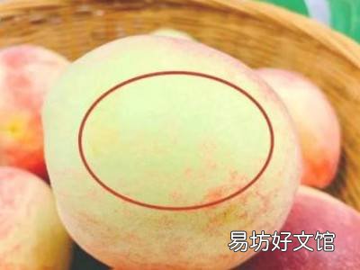 怎么挑桃子又甜又脆