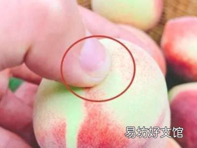 怎么挑桃子又甜又脆